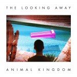 Buy The Looking Away