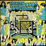 Buy Electric Sugarcube Flashbacks, Vol. 1 (Vinyl)