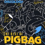 Buy The Best Of Pigbag