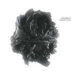 Buy Polarity (Mixed By Focal)