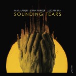 Buy Sounding Tears (With Evan Parker & Lucian Ban)