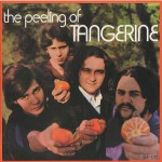 Buy The Peeling Of Tangerine