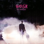 Buy Wosk