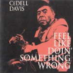 Buy Feel Like Doin' Something Wrong