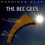 Buy Panpipes Play The Bee Gees