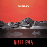 Buy Bible Eyes