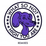 Buy High You Are Remixes