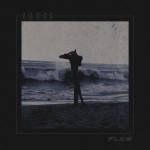 Buy Flaw