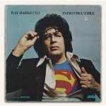 Buy Indestructible (Vinyl)