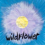 Buy Wildflower