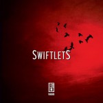 Buy Swiftlets
