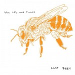 Buy Lost Bees