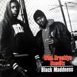 Buy Wild Brooklyn Bandits (CDS)