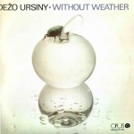 Buy Without Weather