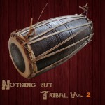 Buy Nothing But Tribal, Vol. 2