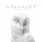 Buy Schneeweiss V: Presented By Oliver Koletzki