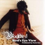 Buy Bird's Eye View