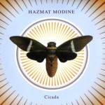 Buy Cicada