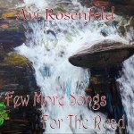 Purchase Avi Rosenfeld Few More Songs For The Road