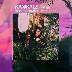Buy Kamikaze (Vinyl)