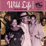 Buy Wild Life (And All About Love)