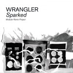 Buy Sparked: Modular Remix Project