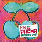 Buy Pure Pacha Summer 2014 CD3