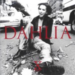 Buy Dahlia