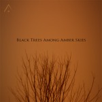 Buy Black Trees Among Amber Skies