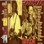 Buy Hound Dog Taylor: A Tribute