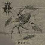Buy Spider (EP)