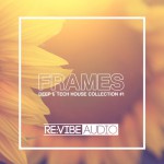 Buy Frames Issue: Deep And Tech House Collection