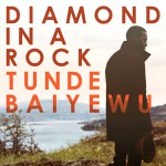 Buy Diamond In A Rock