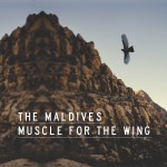 Buy Muscle For The Wing