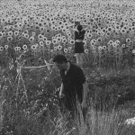 Buy Jesu - Sun Kil Moon