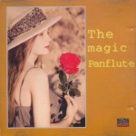 Buy The Magic Panflute