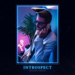 Buy Introspect