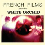 Buy White Orchid