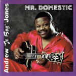 Buy Mr. Domestic