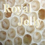 Buy Royal Jelly