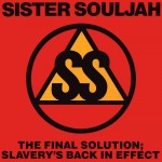 Buy The Final Solution: Slavery's Back In Effect