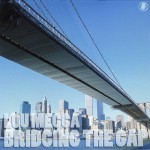 Buy Bridging The Gap