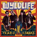 Buy Year Of The Snake