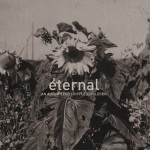 Buy Eternal