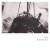 Buy Trawler Tapes Vol. 1 (EP)