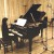 Purchase Piano Solo (CDS) Mp3