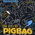 Purchase The Best Of Pigbag Mp3