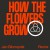 Purchase How The Flowers Grow (Feat. Pixx) (Jan Blomqvist Remix) (CDS) Mp3