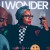 Buy I Wonder (CDS)