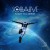 Purchase Flight To A Dream Mp3